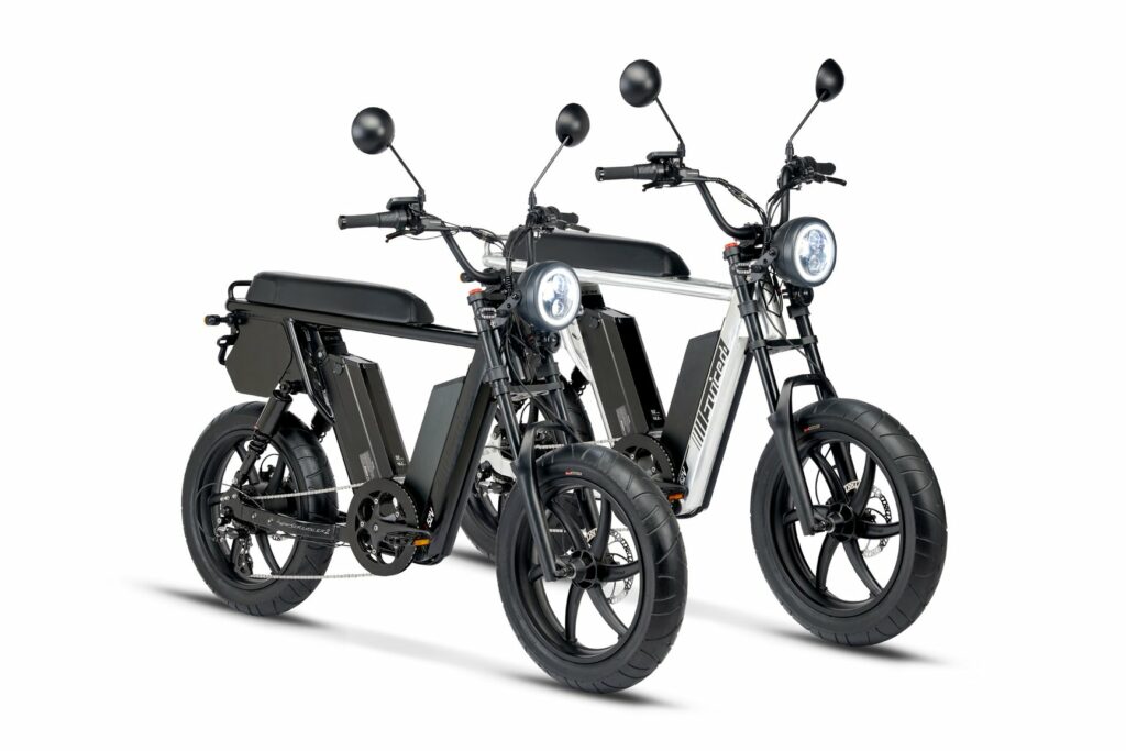 Dual 2024 battery ebike