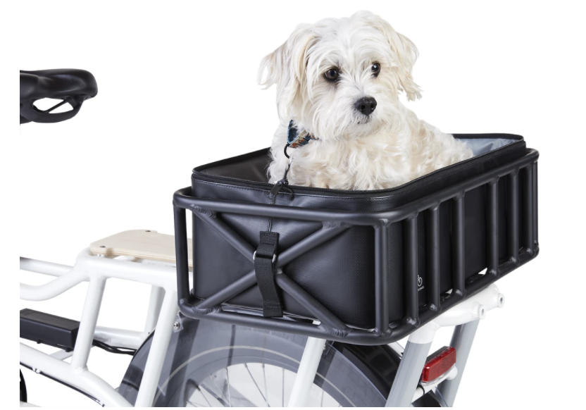 Rad Power Bikes Launches Pet Collection Ebike Escape