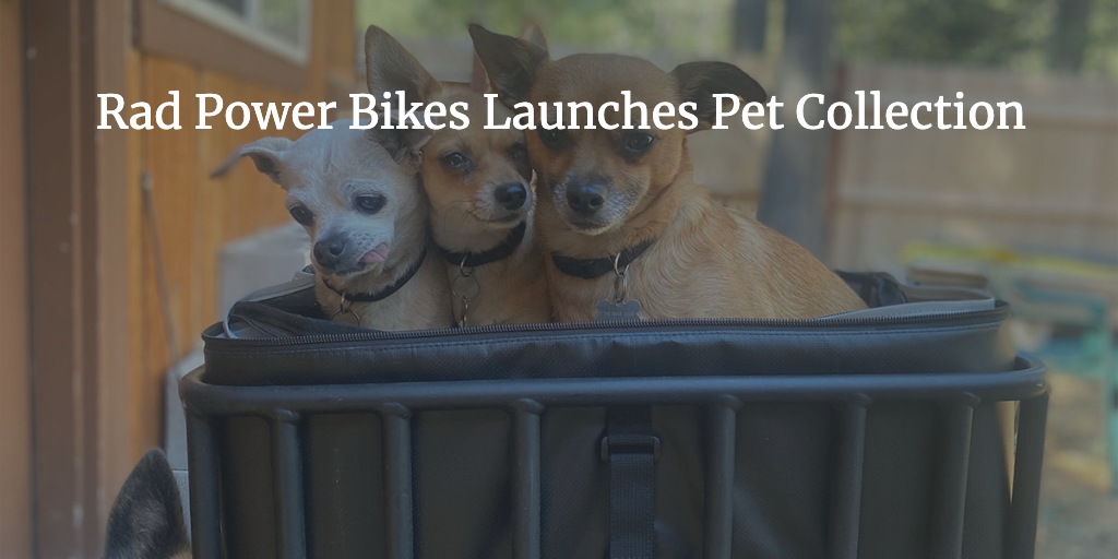 Rad Power Bikes Launches Pet Collection Ebike Escape