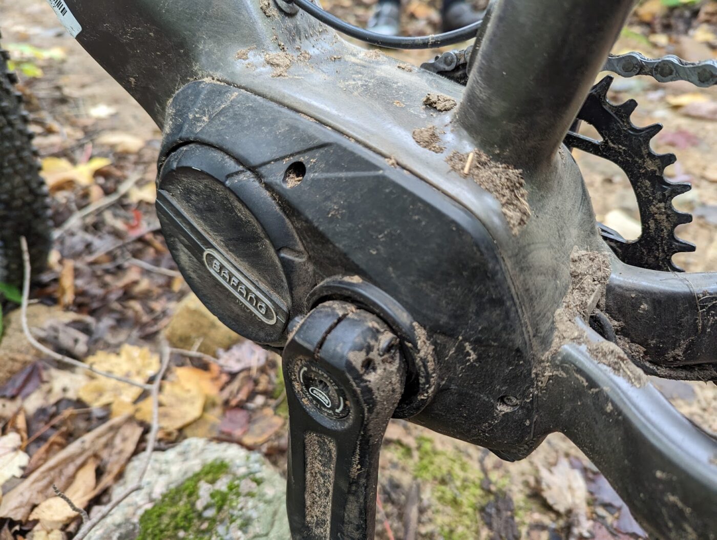 Denago eXC1 and eXC2 Review and Comparison Best Budget Electric