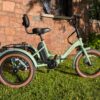 Retrospec Boca Rev ETrike Profile