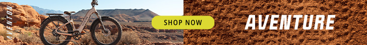 eBike Escape Banner