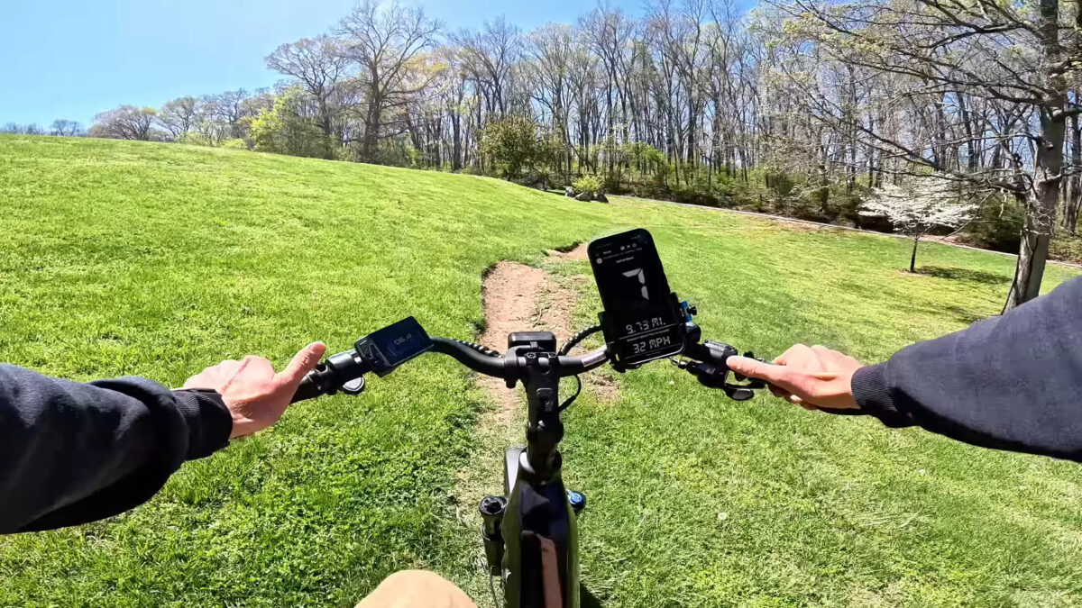 Trail Riding Euphree Stellar Falcon 2